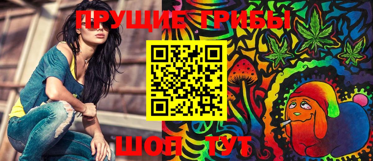 Псилоцибиновые грибы прущие грибы  Вход с VPN  Елабуга  где продают наркотики  Псилоцибиновые грибы прущие грибы 