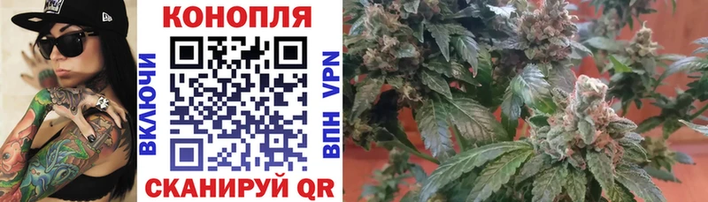 Бошки Шишки Ganja  Елабуга 
